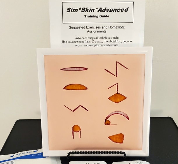 Sim*Skin*Advanced Learning System
