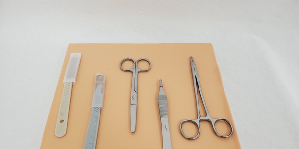 Sim*Suture Bare Learning System