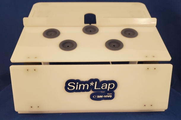 Sim*Lap Learning System