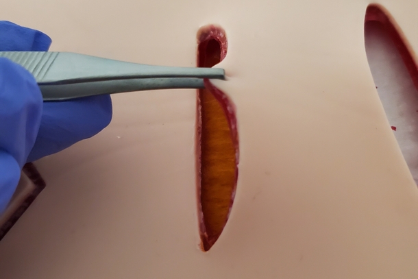 Sim*Skin* Advanced Skin Board