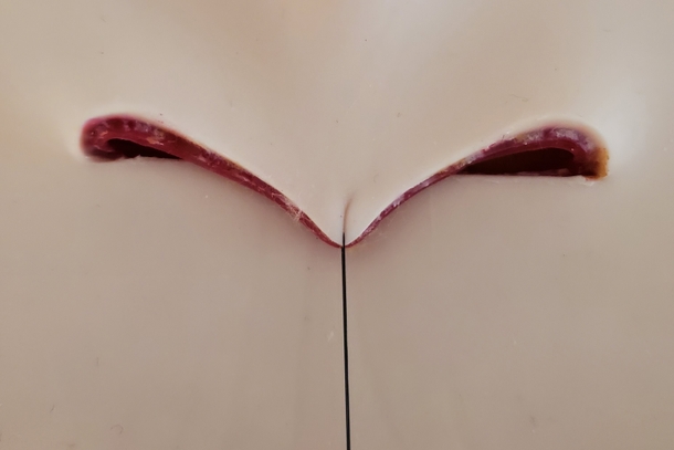 Sim*Skin* Advanced Skin Board