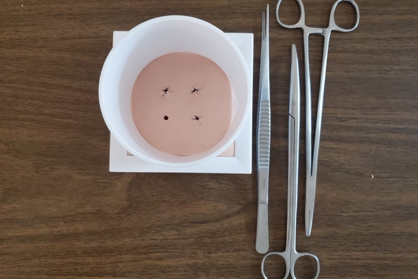 Deep*Suture Kit