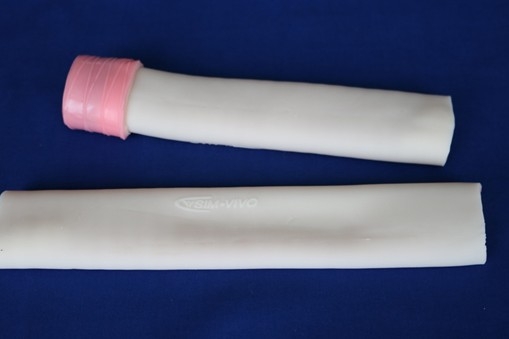 Sim*Bowel Segment