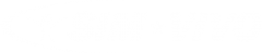 SIM*VIVO Logo